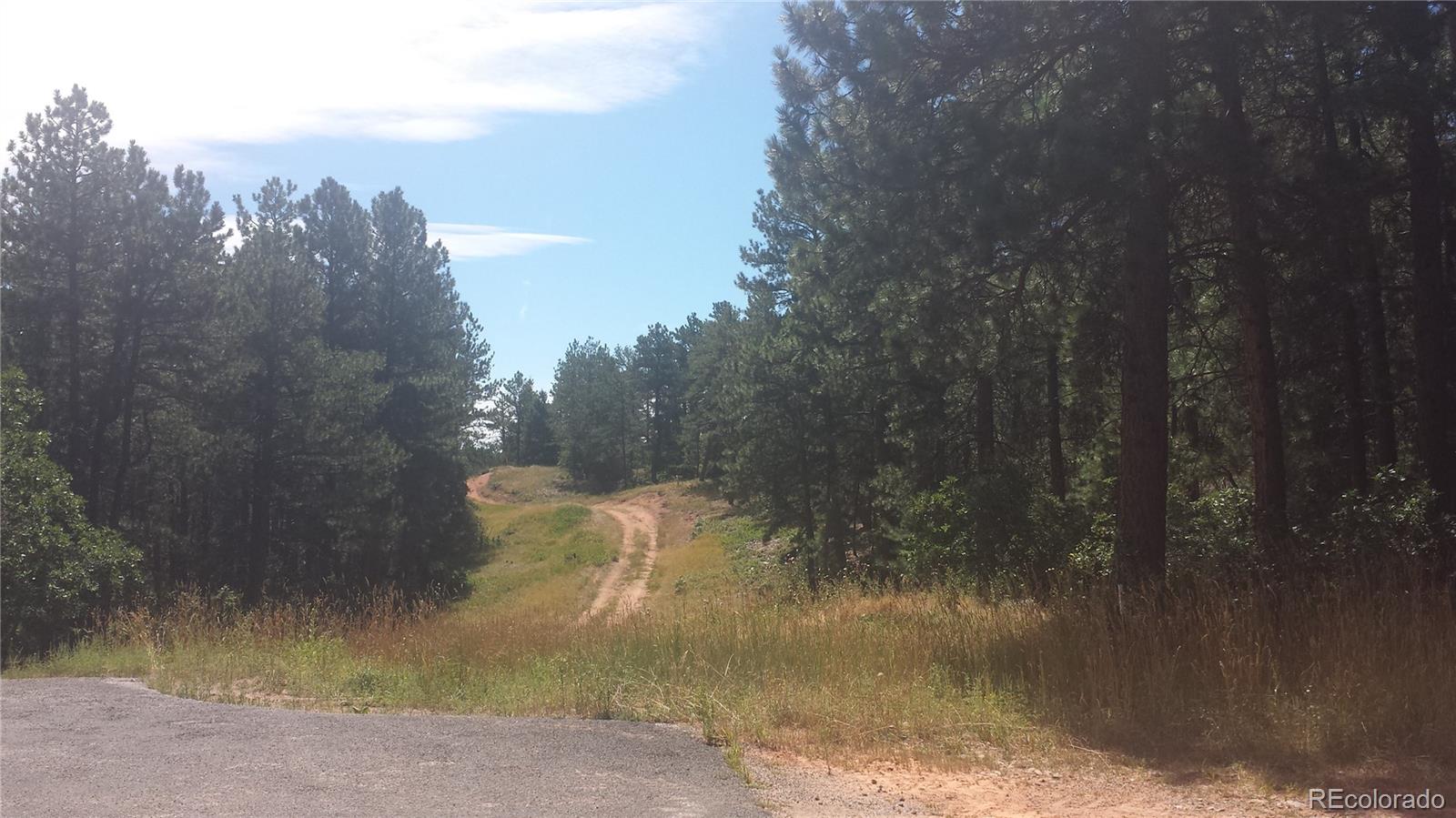 4467 Delaware Drive Larkspur CO 80118