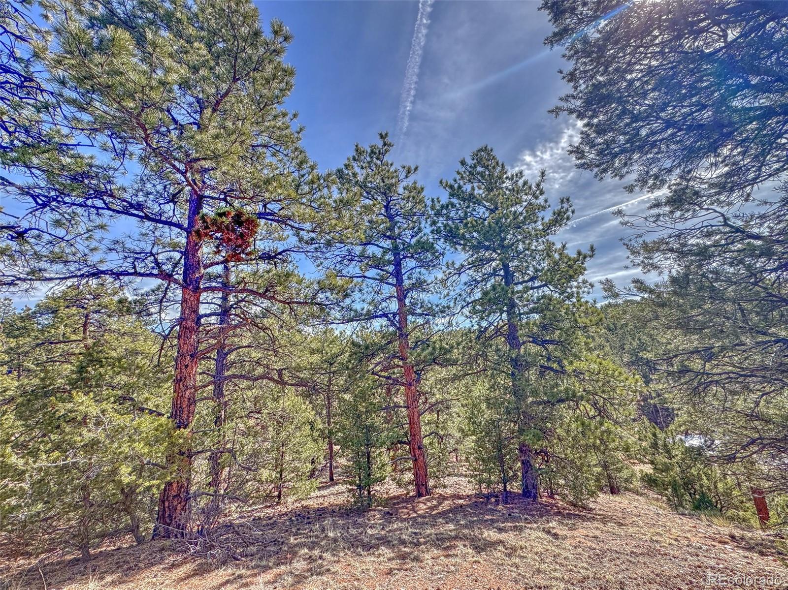 426 Arapaho Road Westcliffe CO 81252