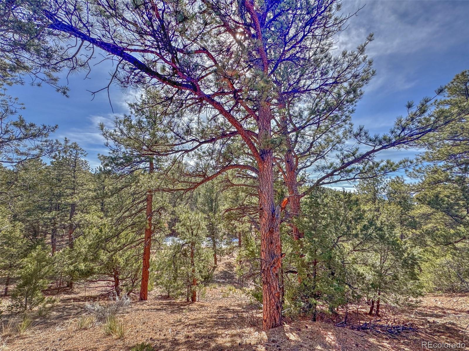 426 Arapaho Road Westcliffe CO 81252