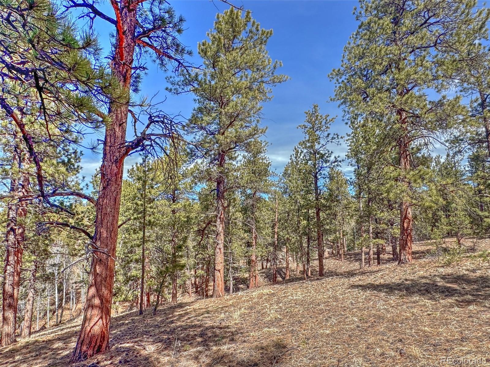 426 Arapaho Road Westcliffe CO 81252