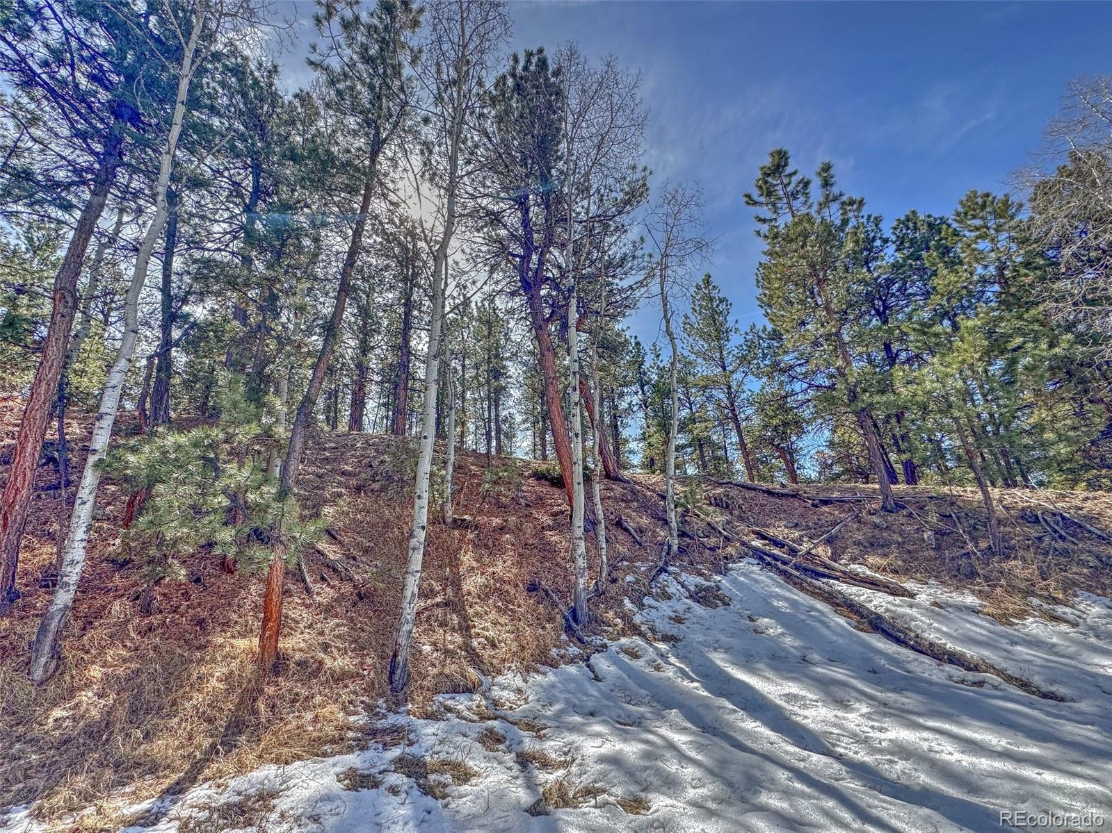 426 Arapaho Road Westcliffe CO 81252