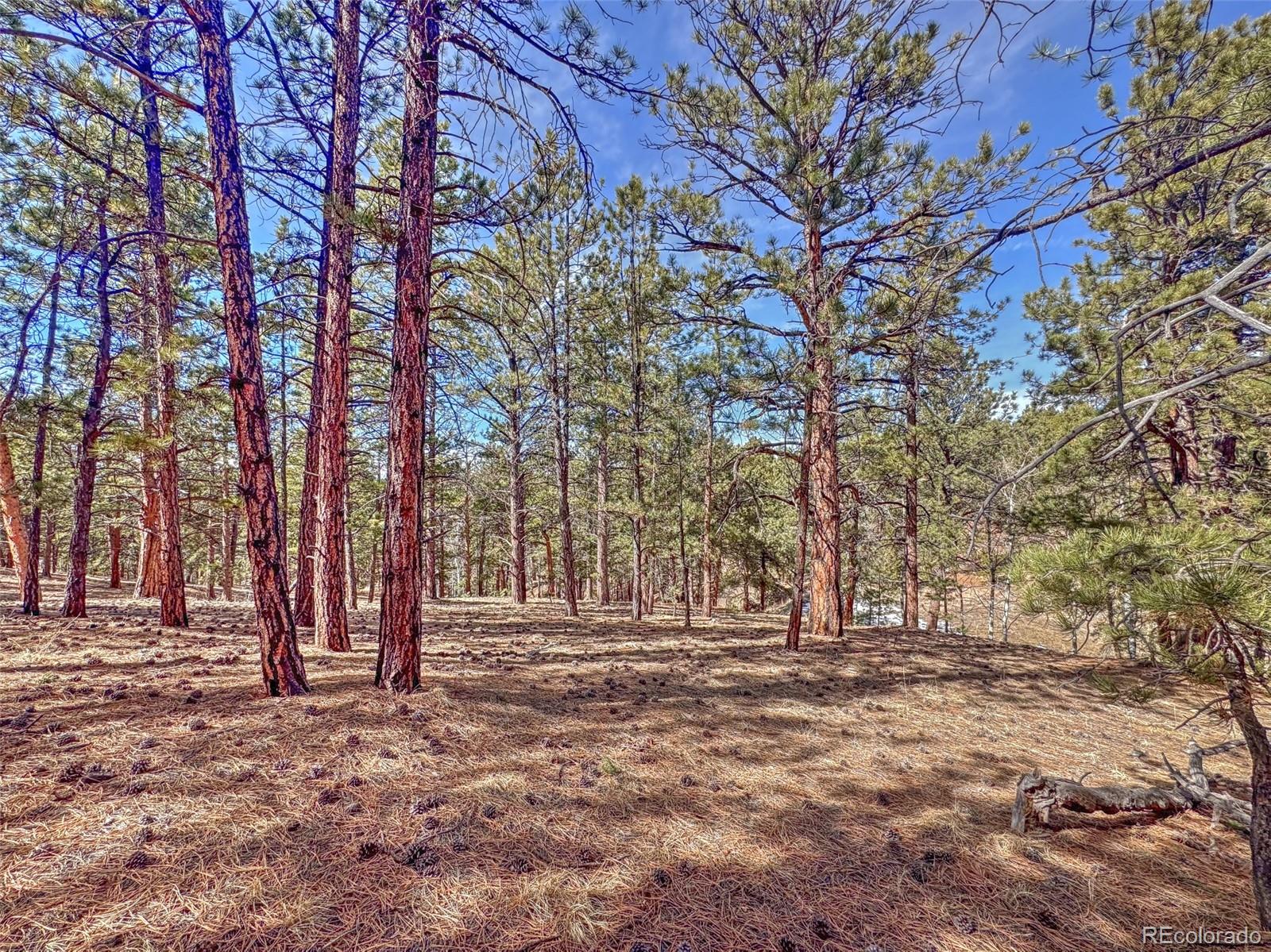 426 Arapaho Road Westcliffe CO 81252