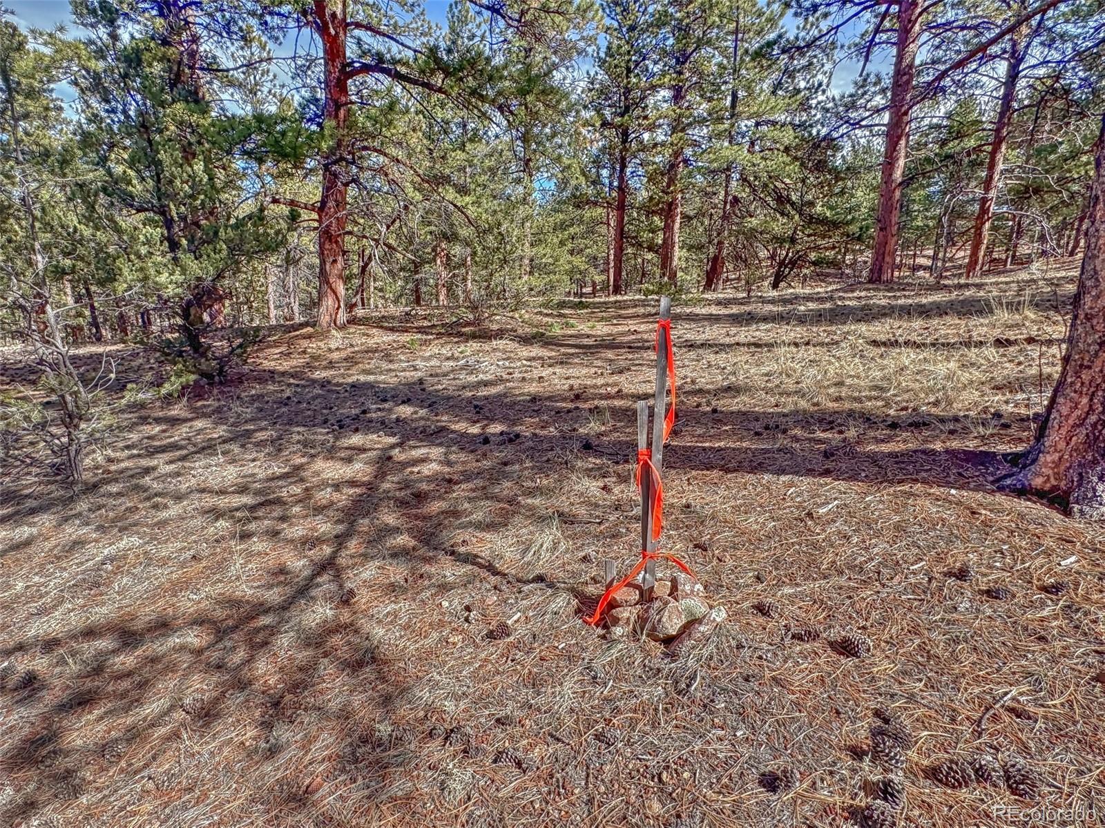 426 Arapaho Road Westcliffe CO 81252