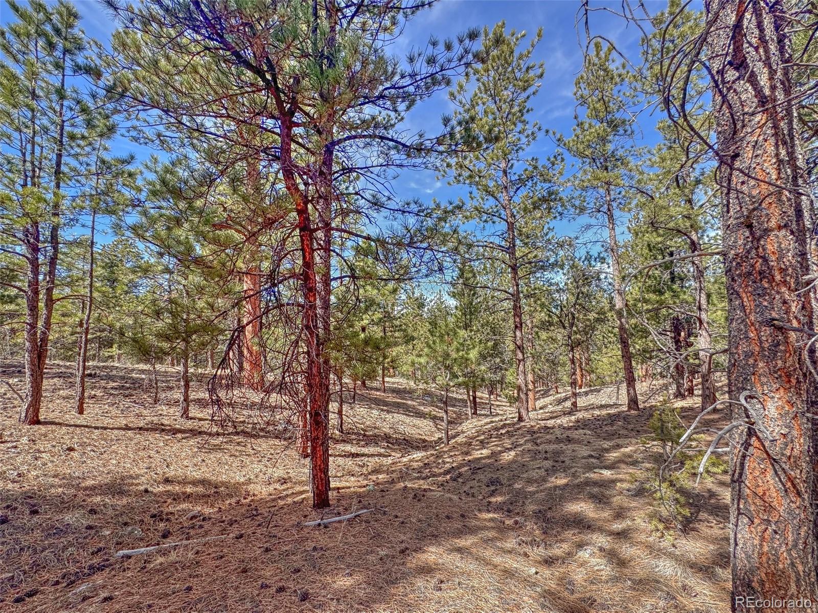 426 Arapaho Road Westcliffe CO 81252
