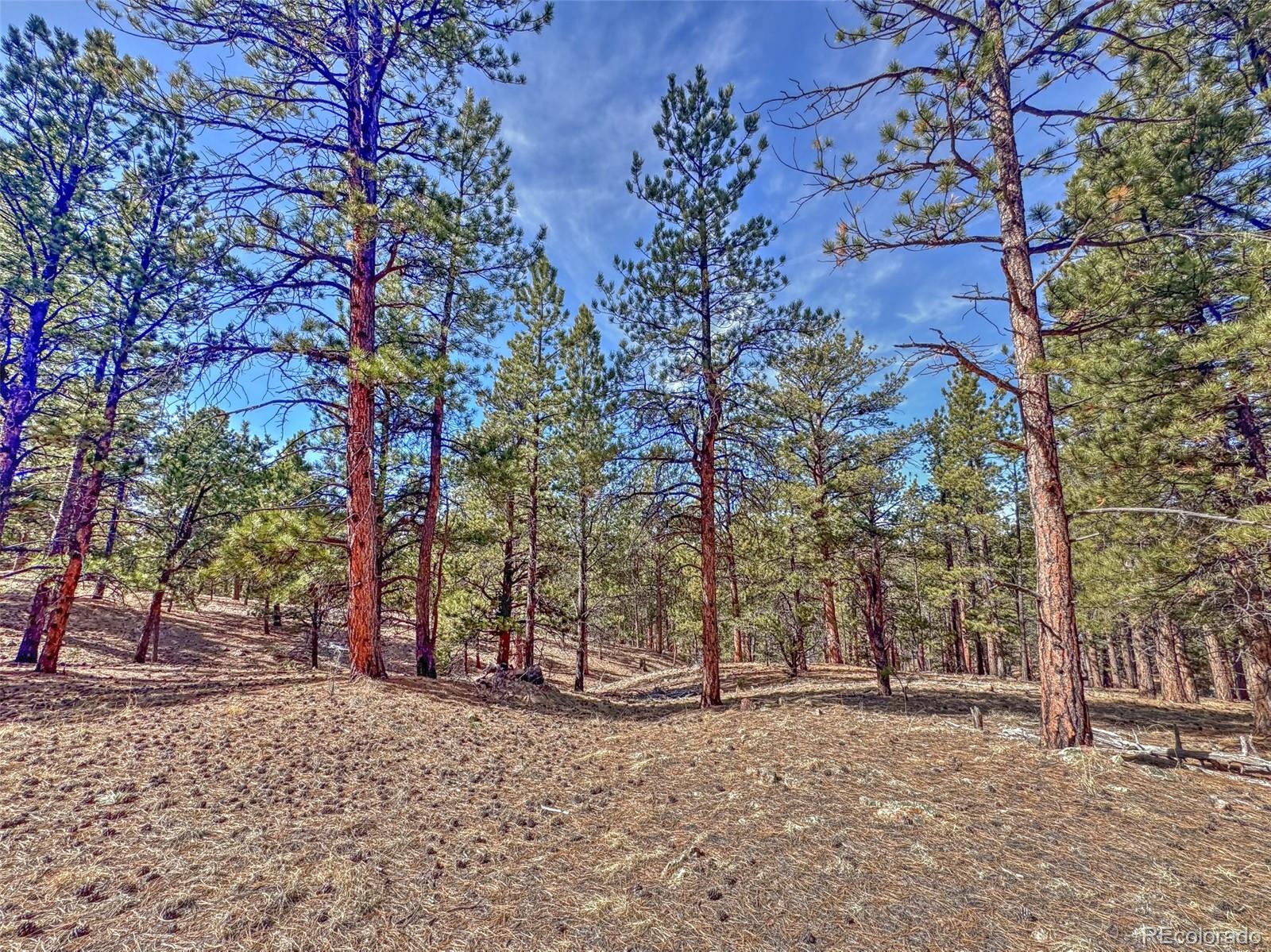 426 Arapaho Road Westcliffe CO 81252