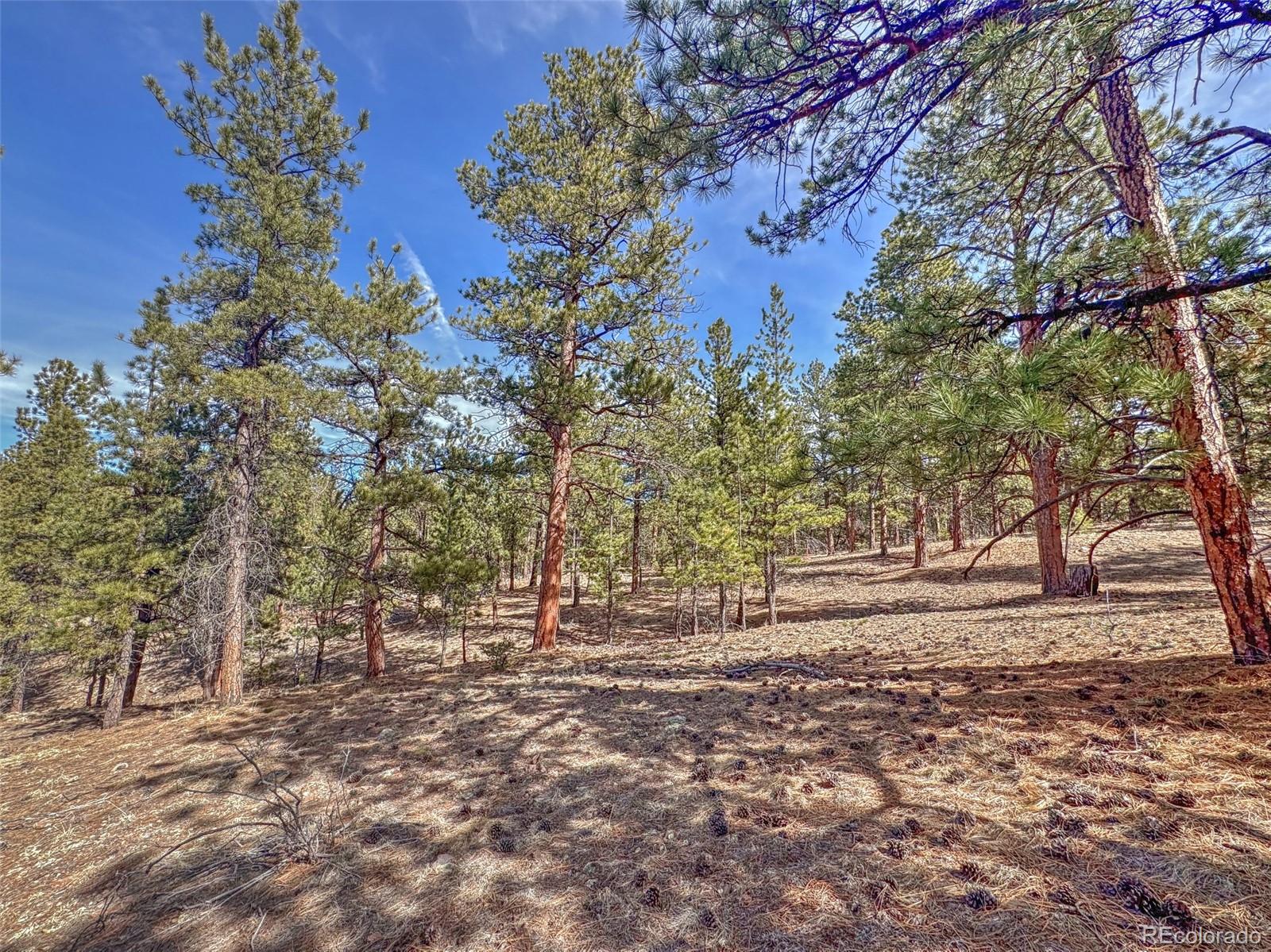 426 Arapaho Road Westcliffe CO 81252