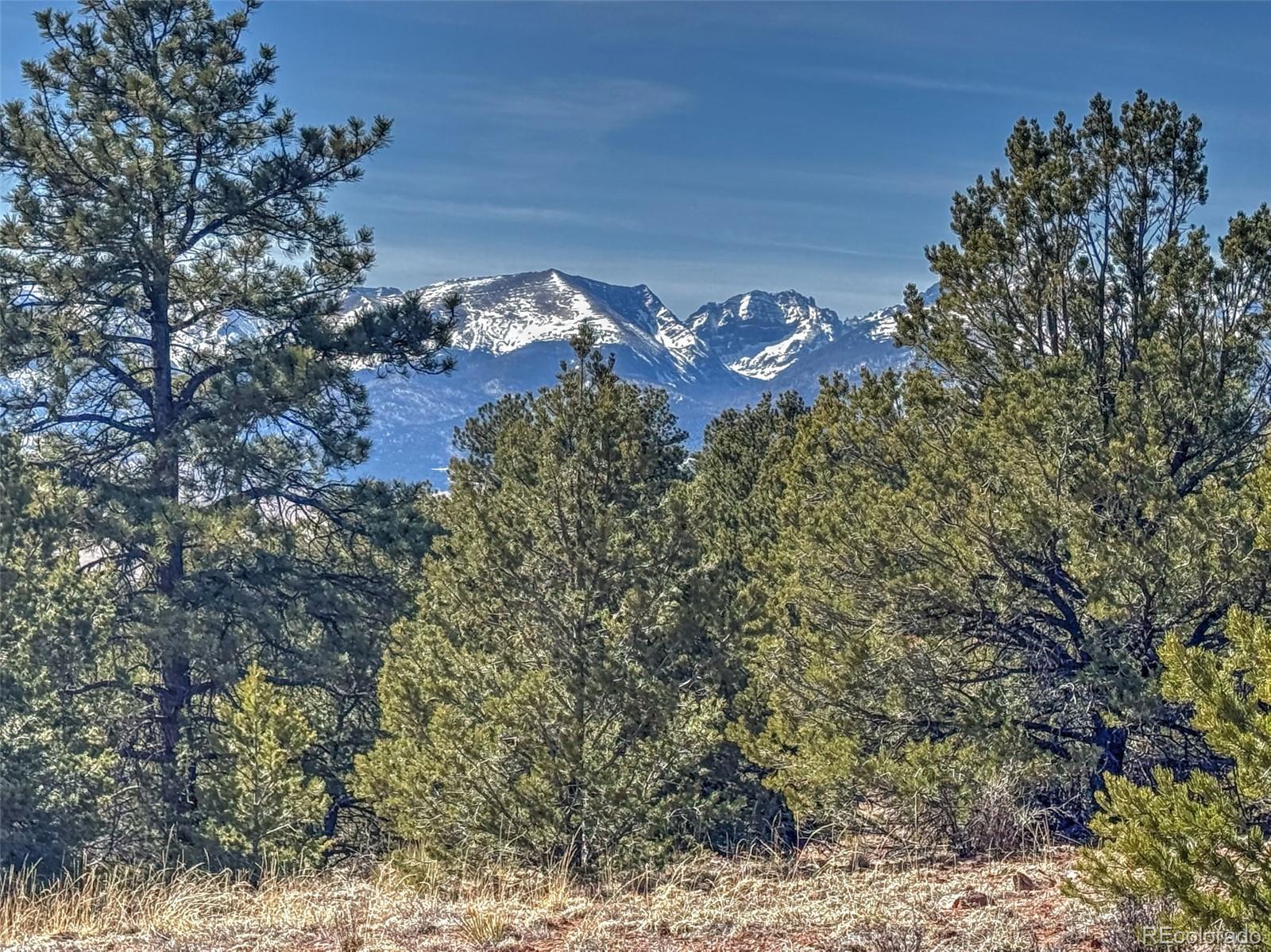 426 Arapaho Road Westcliffe CO 81252