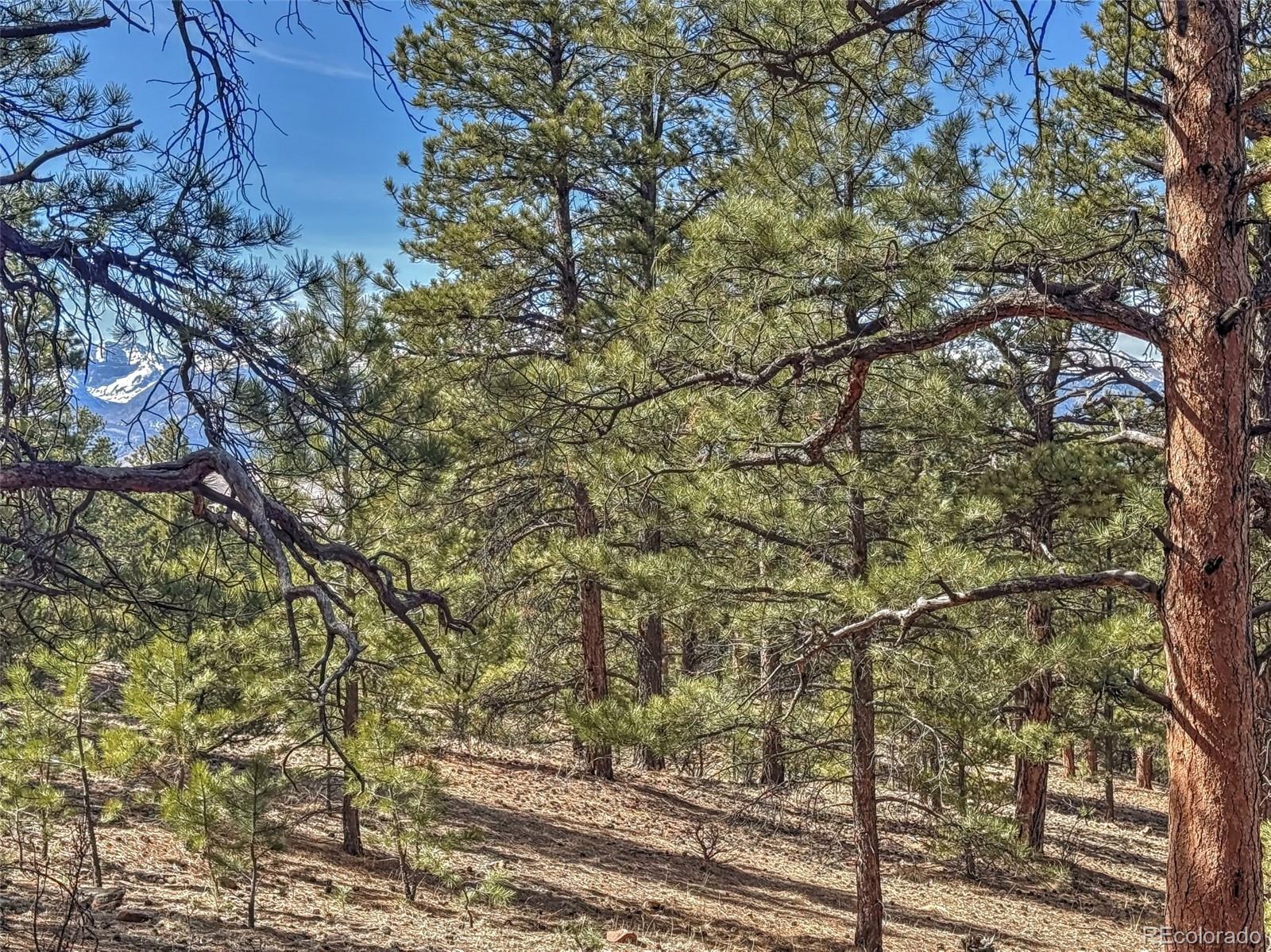 426 Arapaho Road Westcliffe CO 81252
