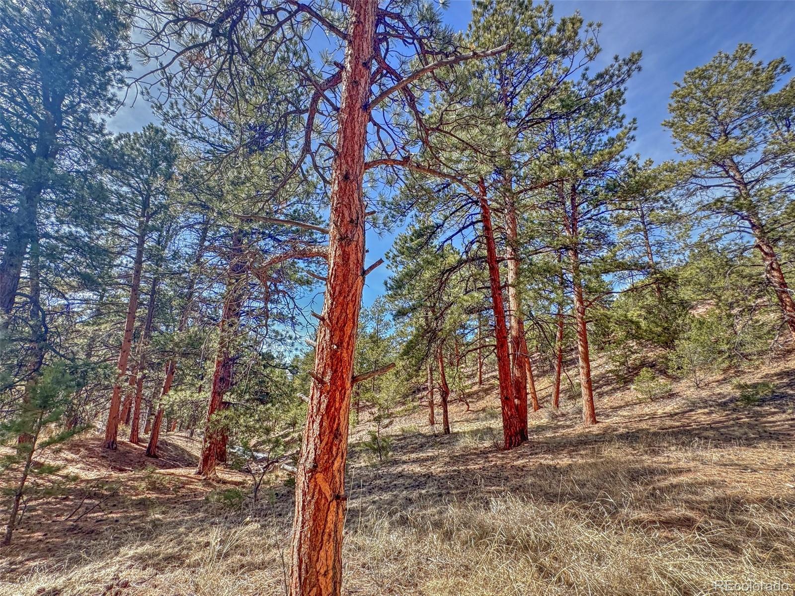426 Arapaho Road Westcliffe CO 81252