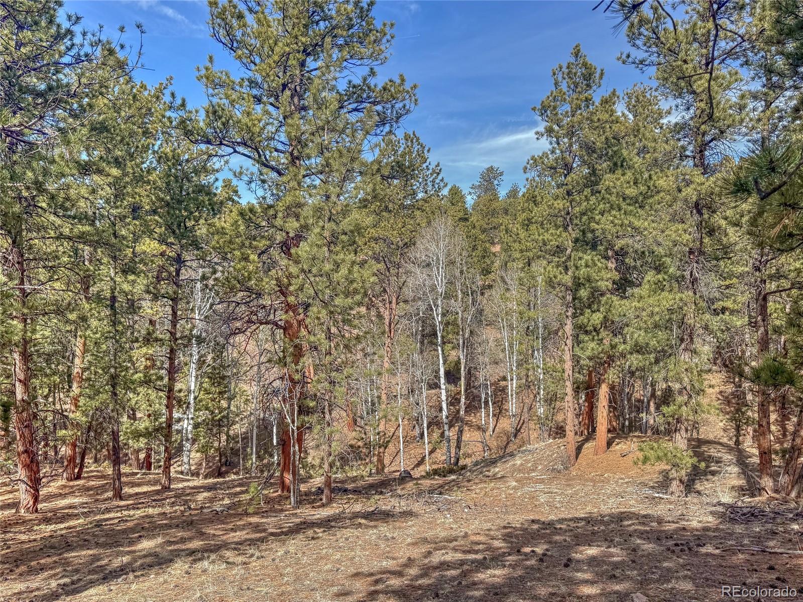 426 Arapaho Road Westcliffe CO 81252