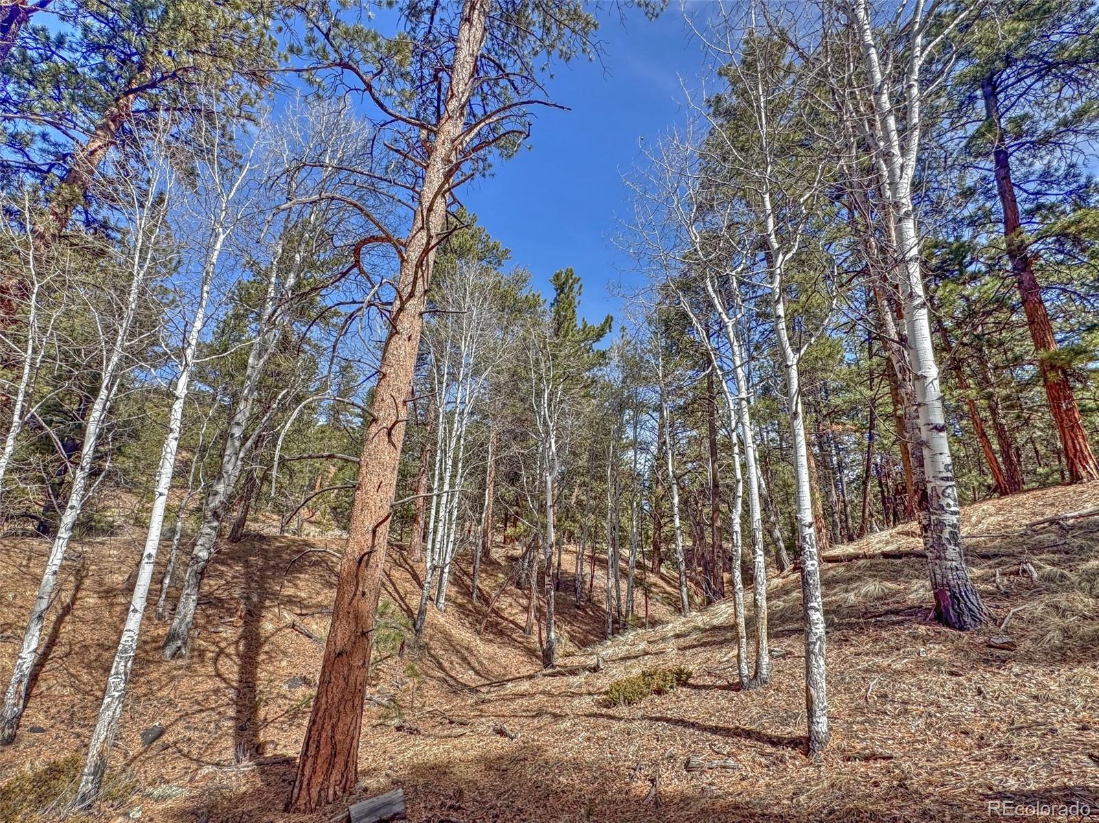 426 Arapaho Road Westcliffe CO 81252