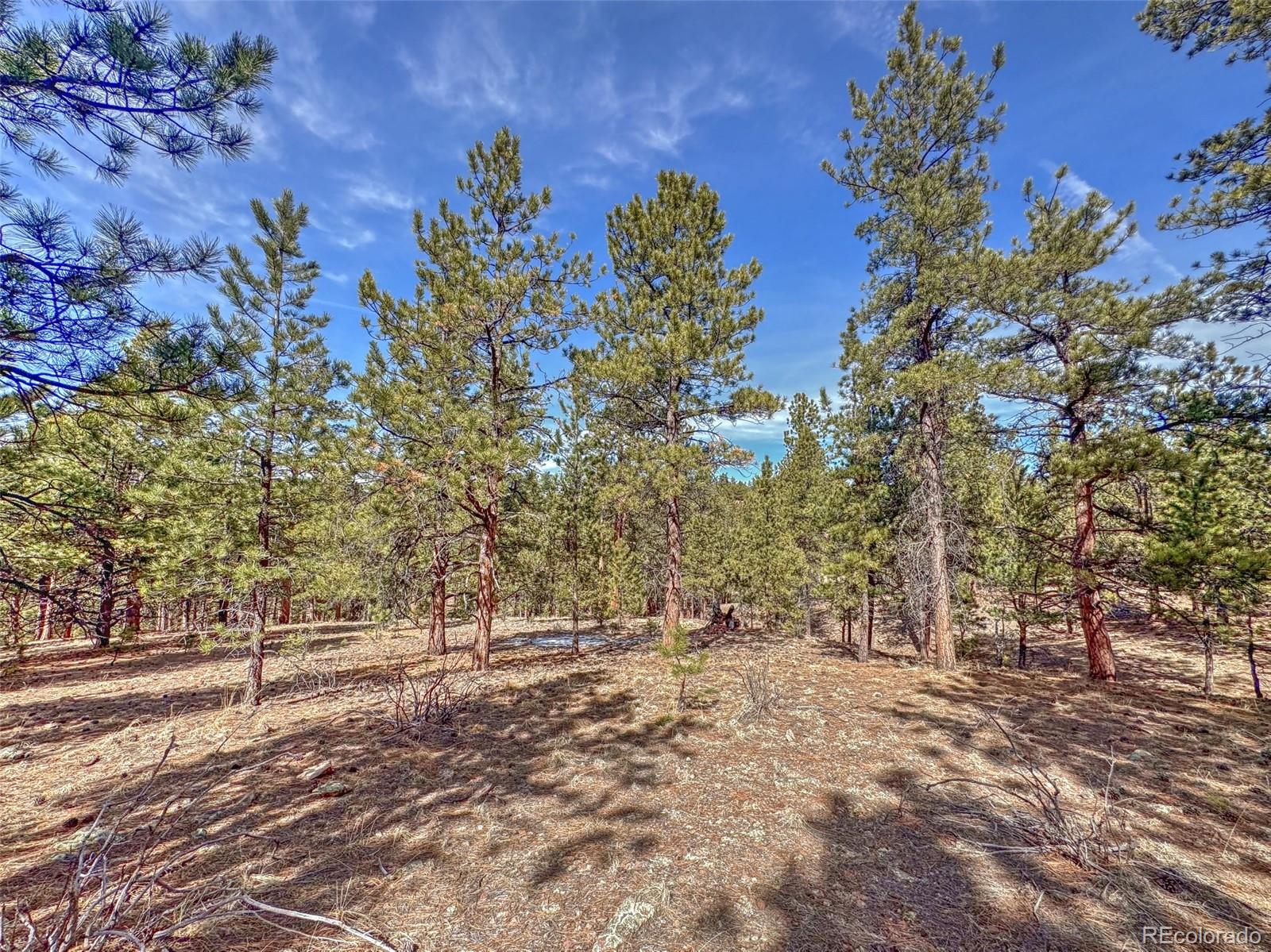 426 Arapaho Road Westcliffe CO 81252