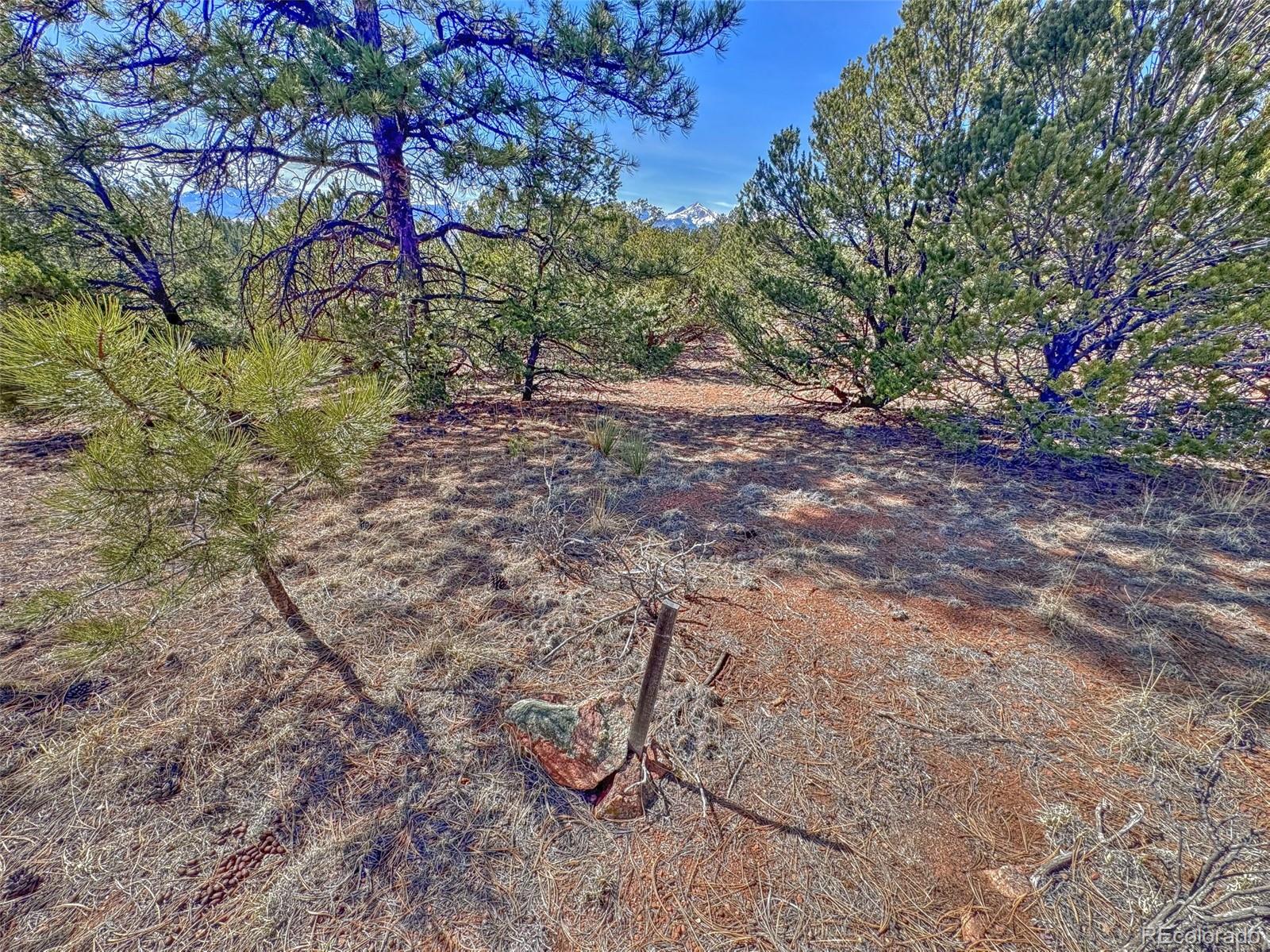 426 Arapaho Road Westcliffe CO 81252