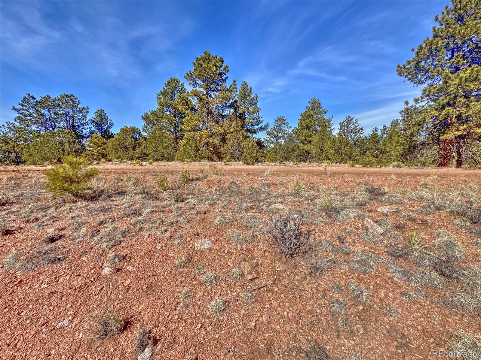 426 Arapaho Road Westcliffe CO 81252