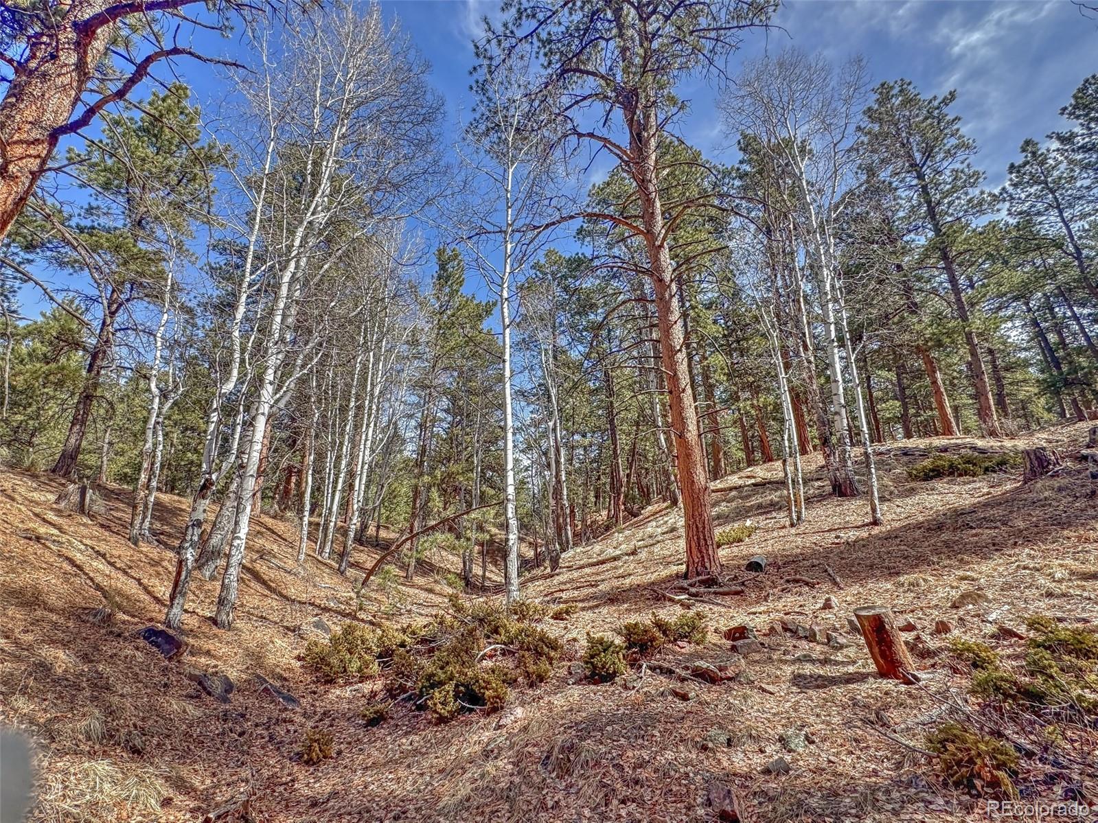 426 Arapaho Road Westcliffe CO 81252