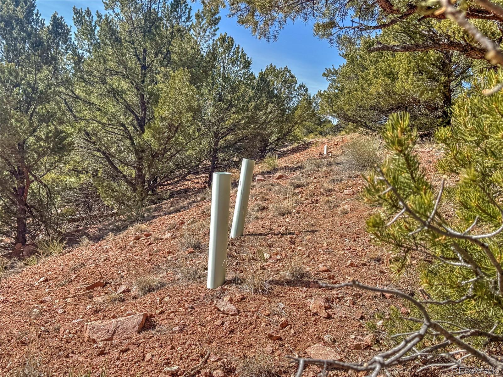 426 Arapaho Road Westcliffe CO 81252