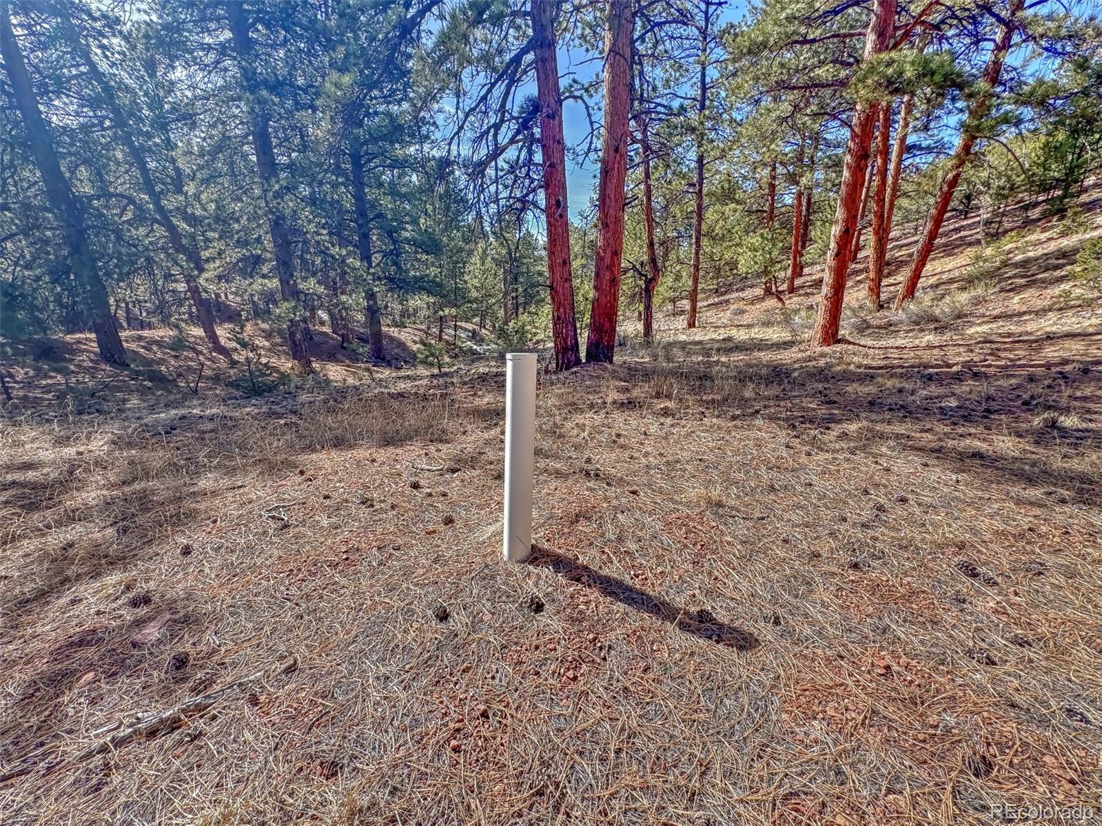 426 Arapaho Road Westcliffe CO 81252