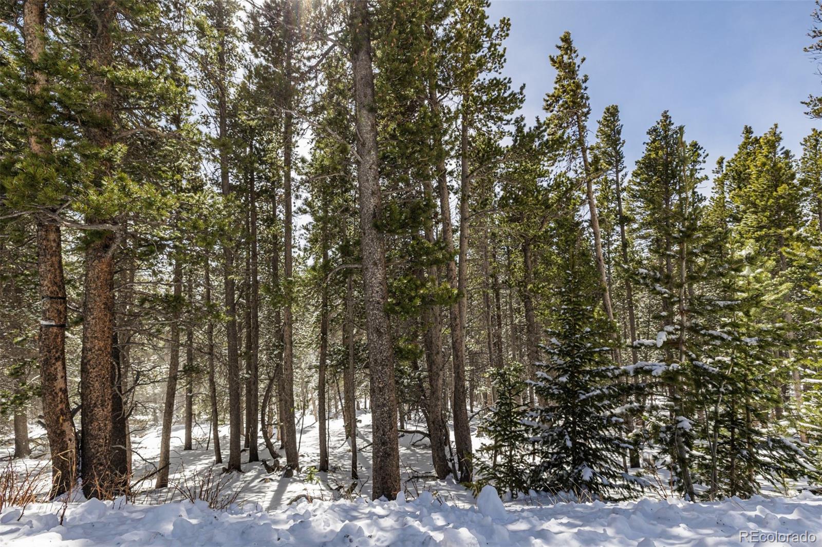 757 Texas Drive Idaho Springs CO 80452
