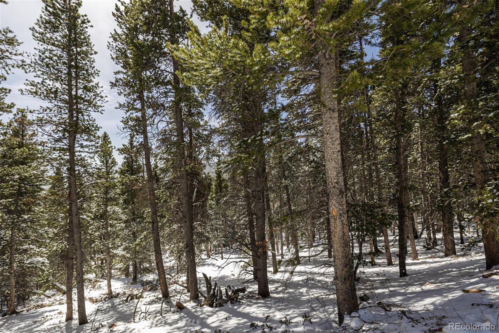 757 Texas Drive Idaho Springs CO 80452