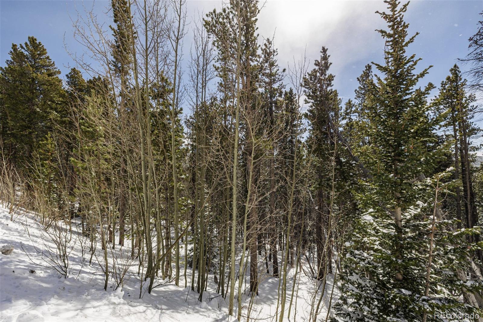757 Texas Drive Idaho Springs CO 80452