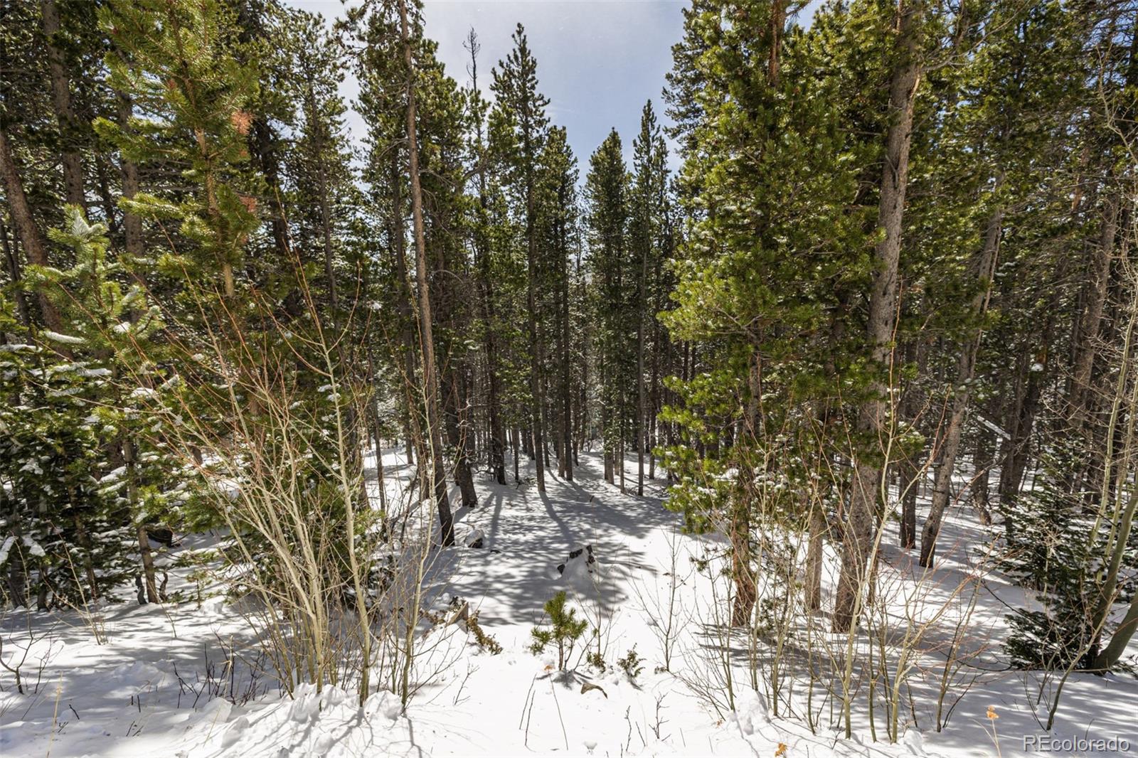 757 Texas Drive Idaho Springs CO 80452