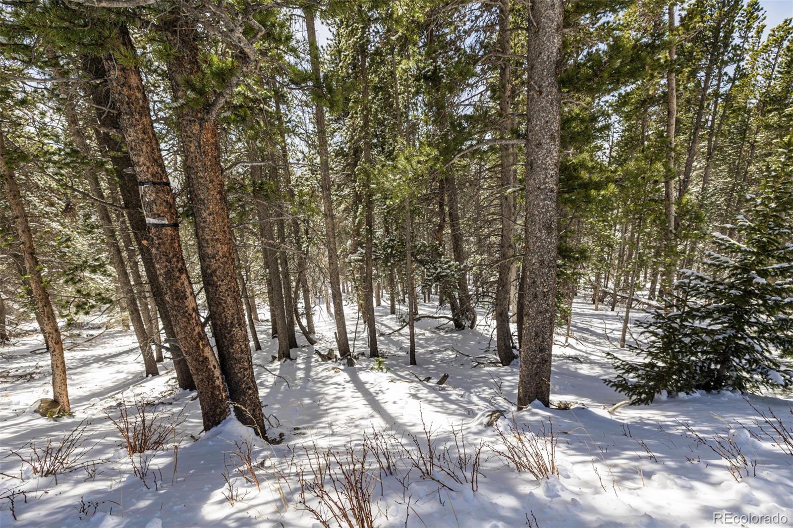 757 Texas Drive Idaho Springs CO 80452