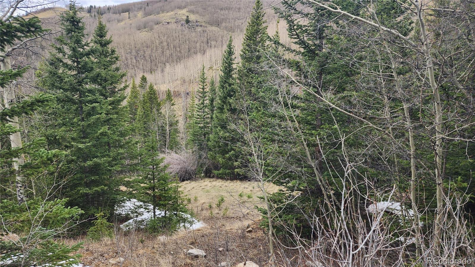 6435 Bronfman Road San Luis CO 81152