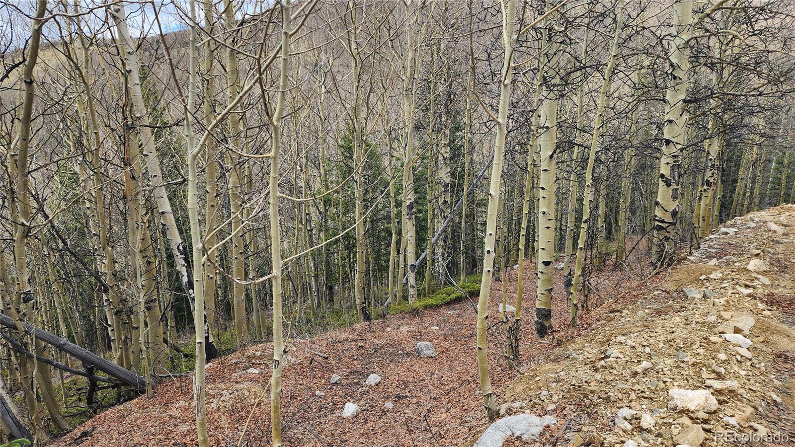 6435 Bronfman Road San Luis CO 81152