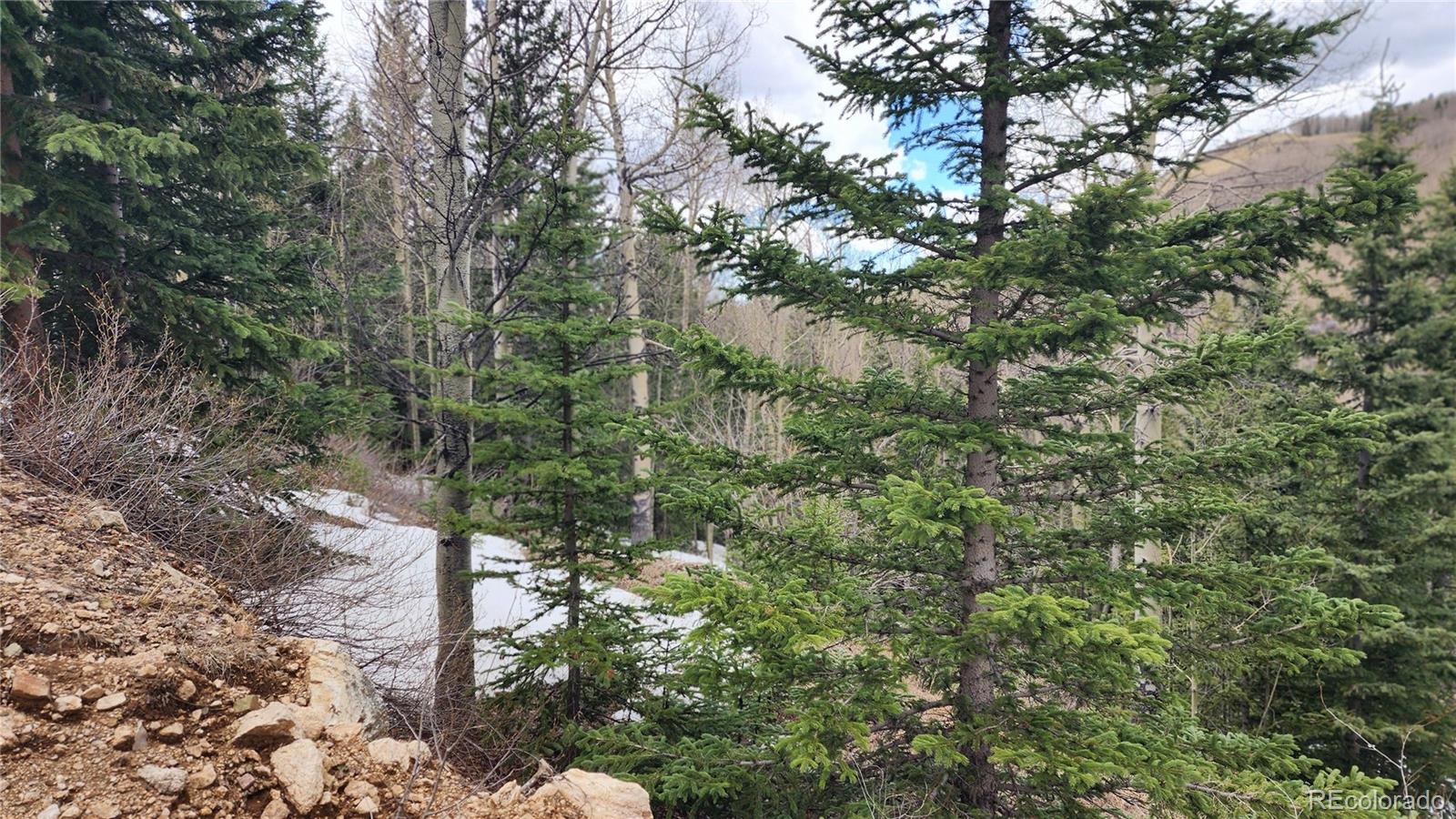 6435 Bronfman Road San Luis CO 81152