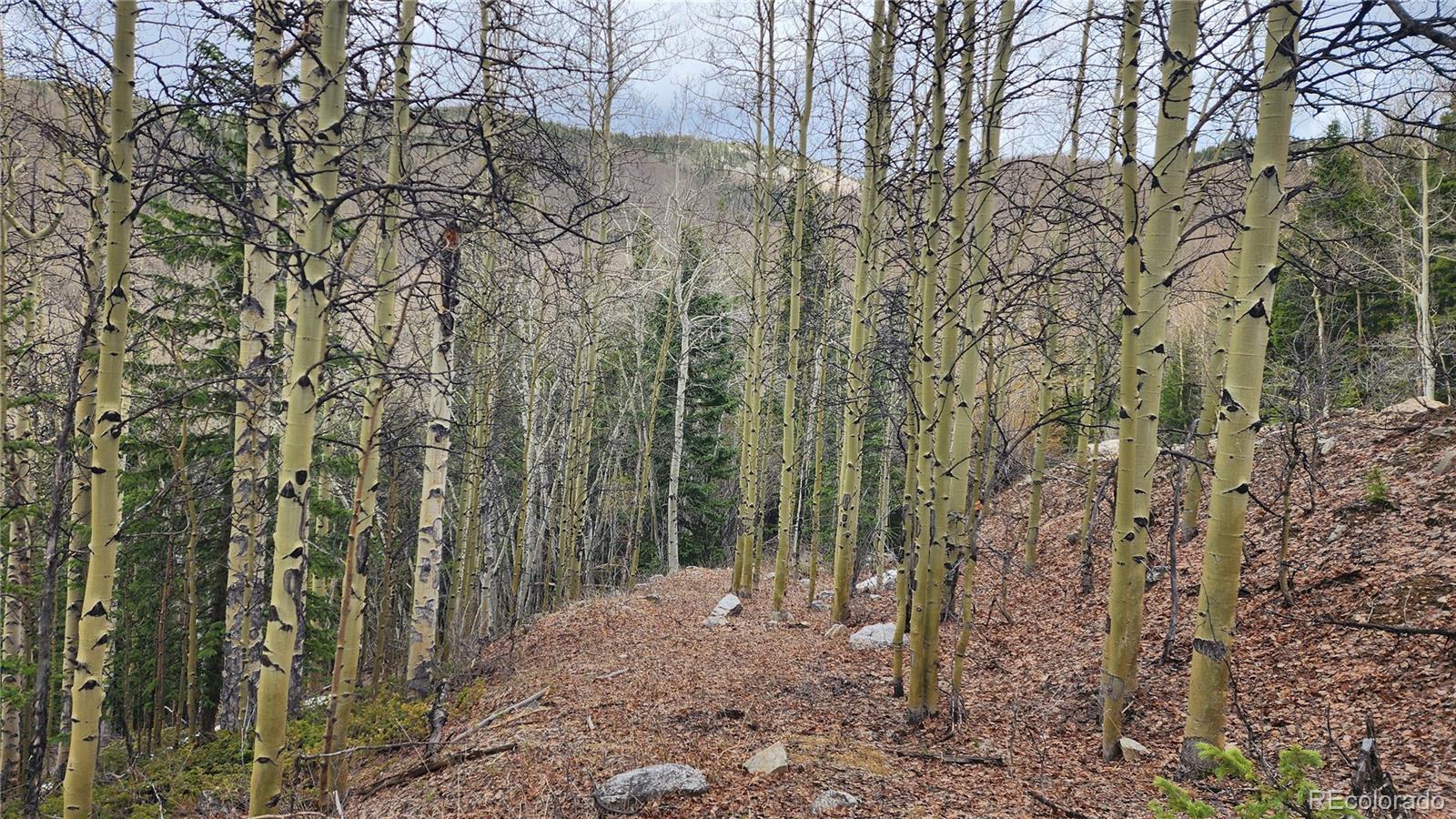 6435 Bronfman Road San Luis CO 81152