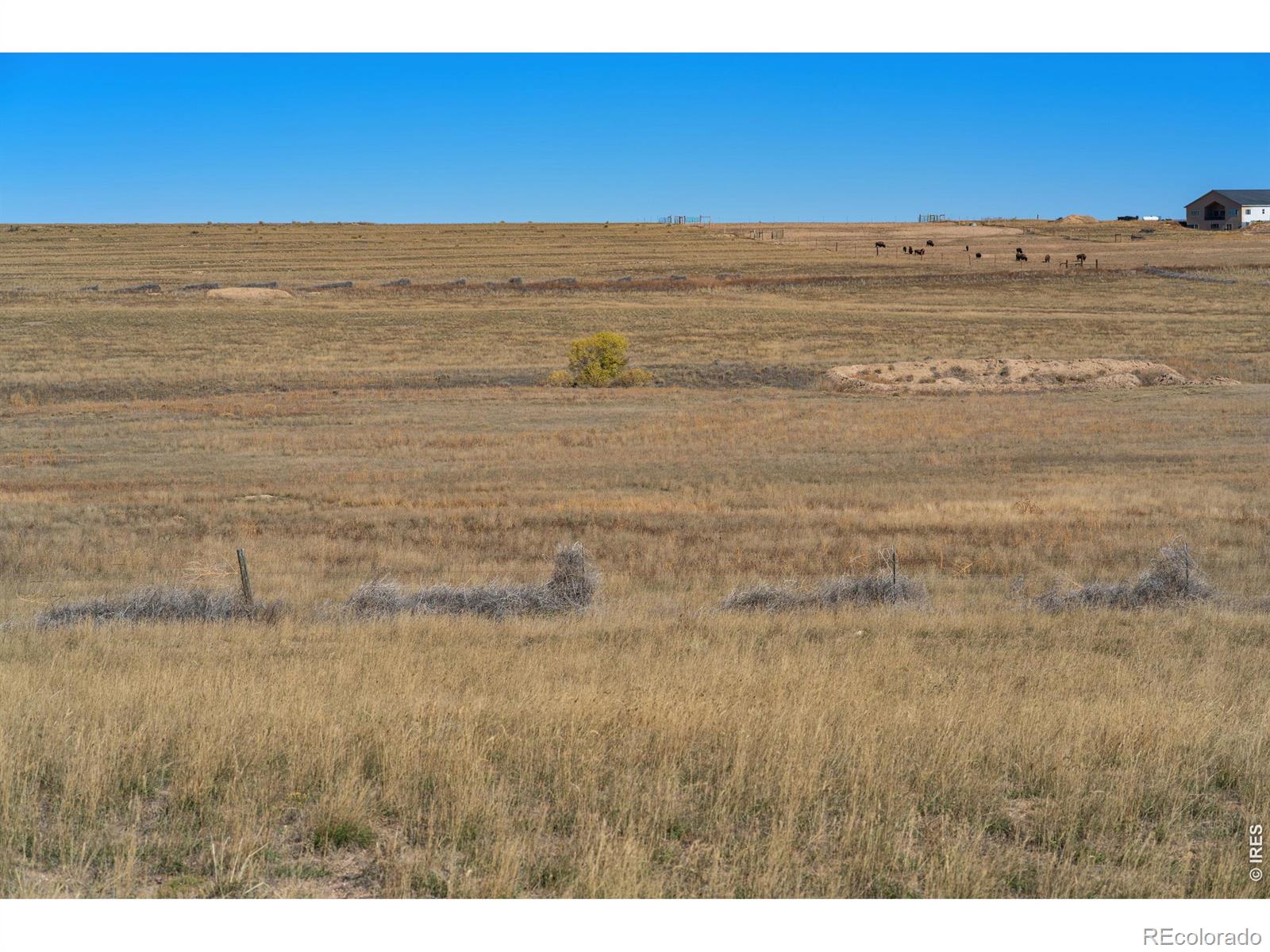54215 County Road 21 Carr CO 80612