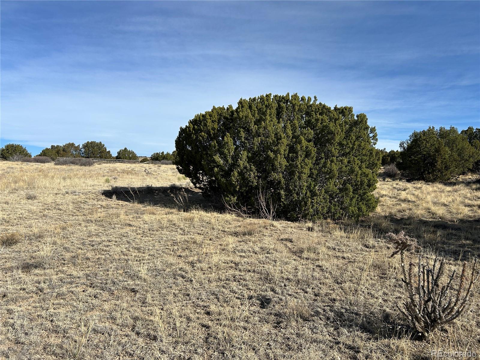 Lot 122 Ghost River Ranch Rye CO 81069