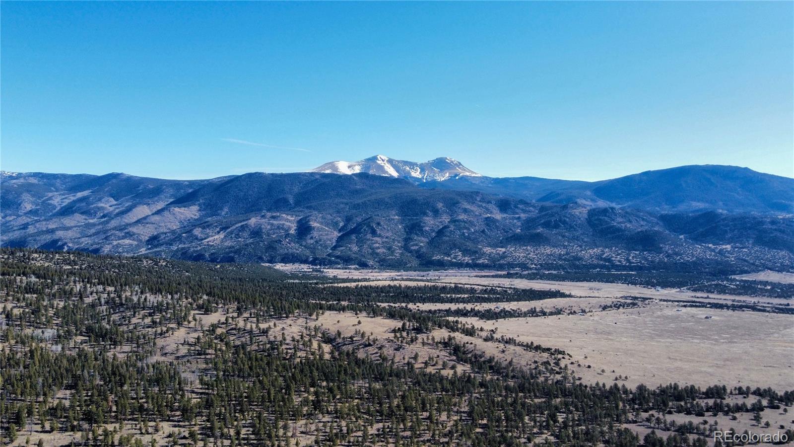 18961 Wagon Trail Buena Vista CO 81211