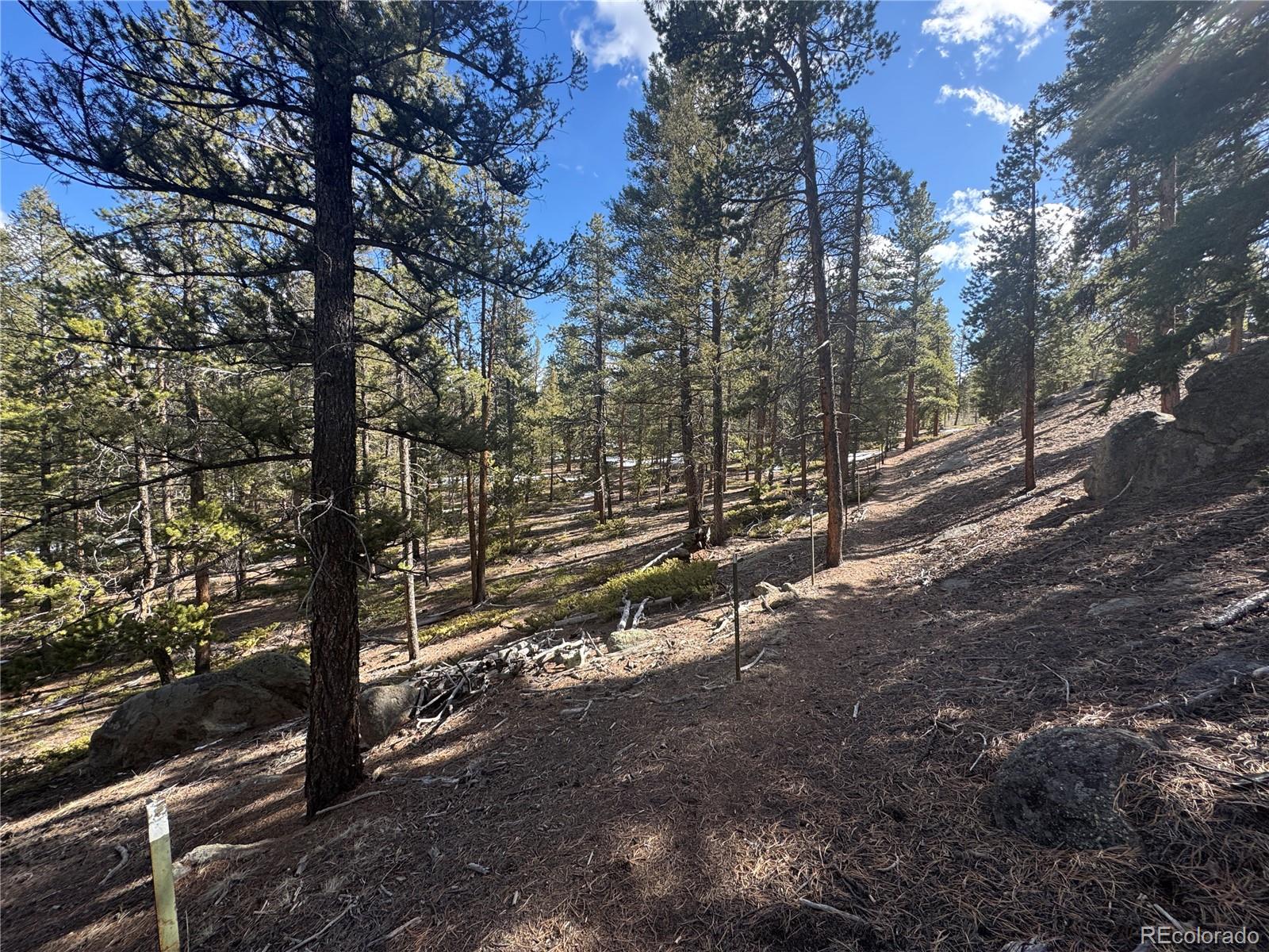 18961 Wagon Trail Buena Vista CO 81211