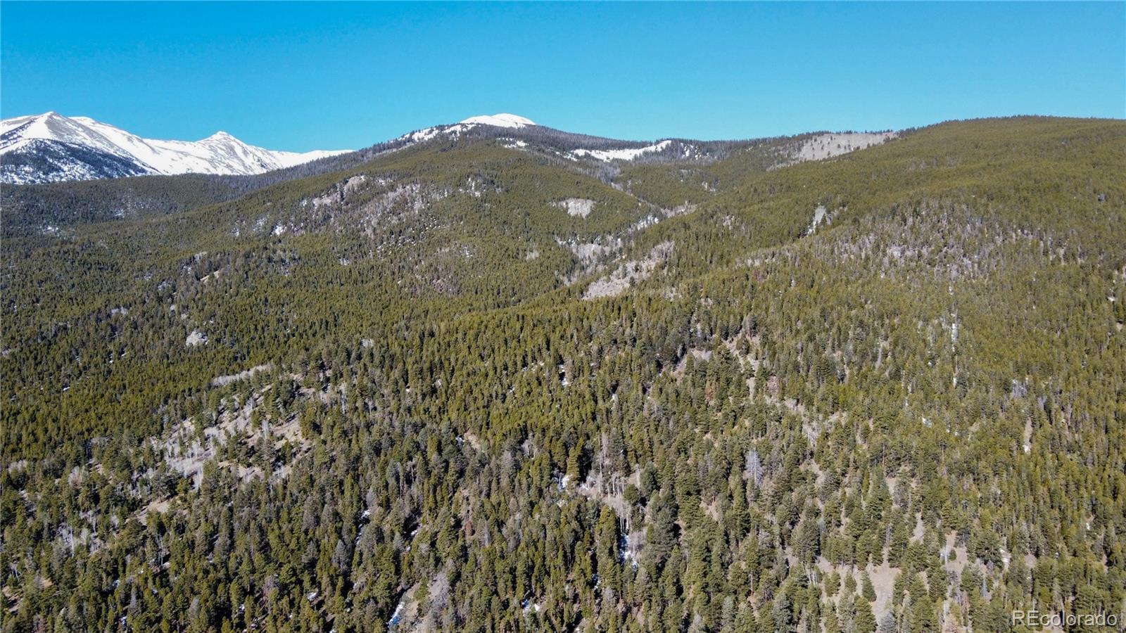 18961 Wagon Trail Buena Vista CO 81211