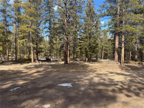 18961 Wagon Trail Buena Vista CO 81211