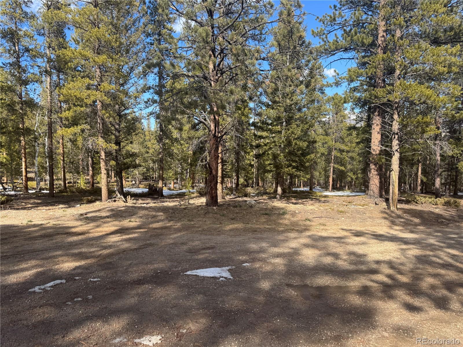 18961 Wagon Trail Buena Vista CO 81211