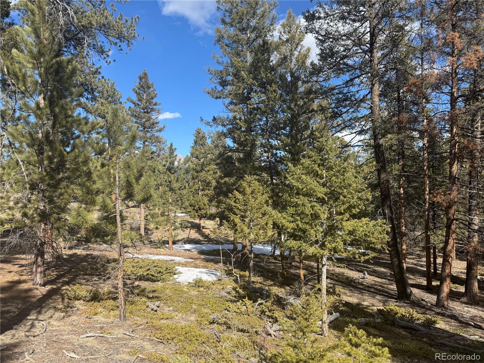18961 Wagon Trail Buena Vista CO 81211