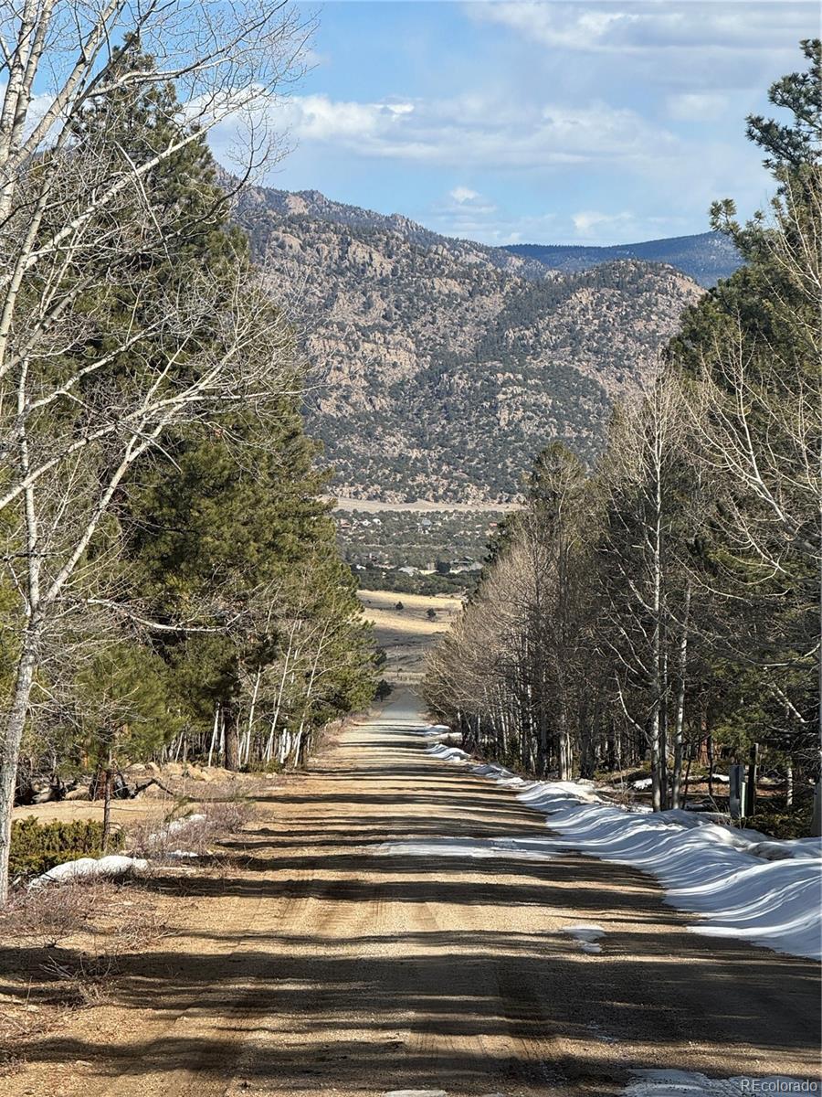 18961 Wagon Trail Buena Vista CO 81211