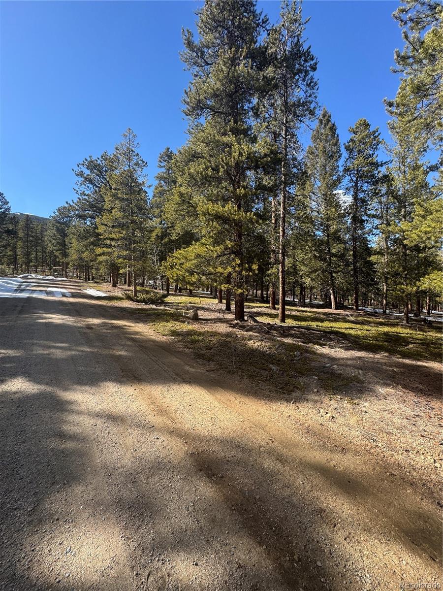 18961 Wagon Trail Buena Vista CO 81211