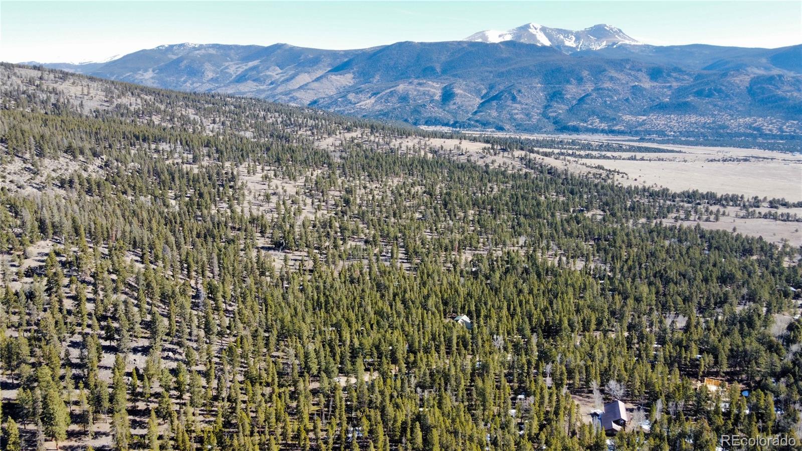18961 Wagon Trail Buena Vista CO 81211