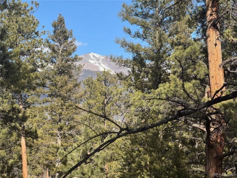 18961 Wagon Trail Buena Vista CO 81211