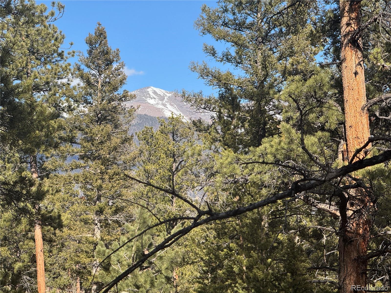 18961 Wagon Trail Buena Vista CO 81211