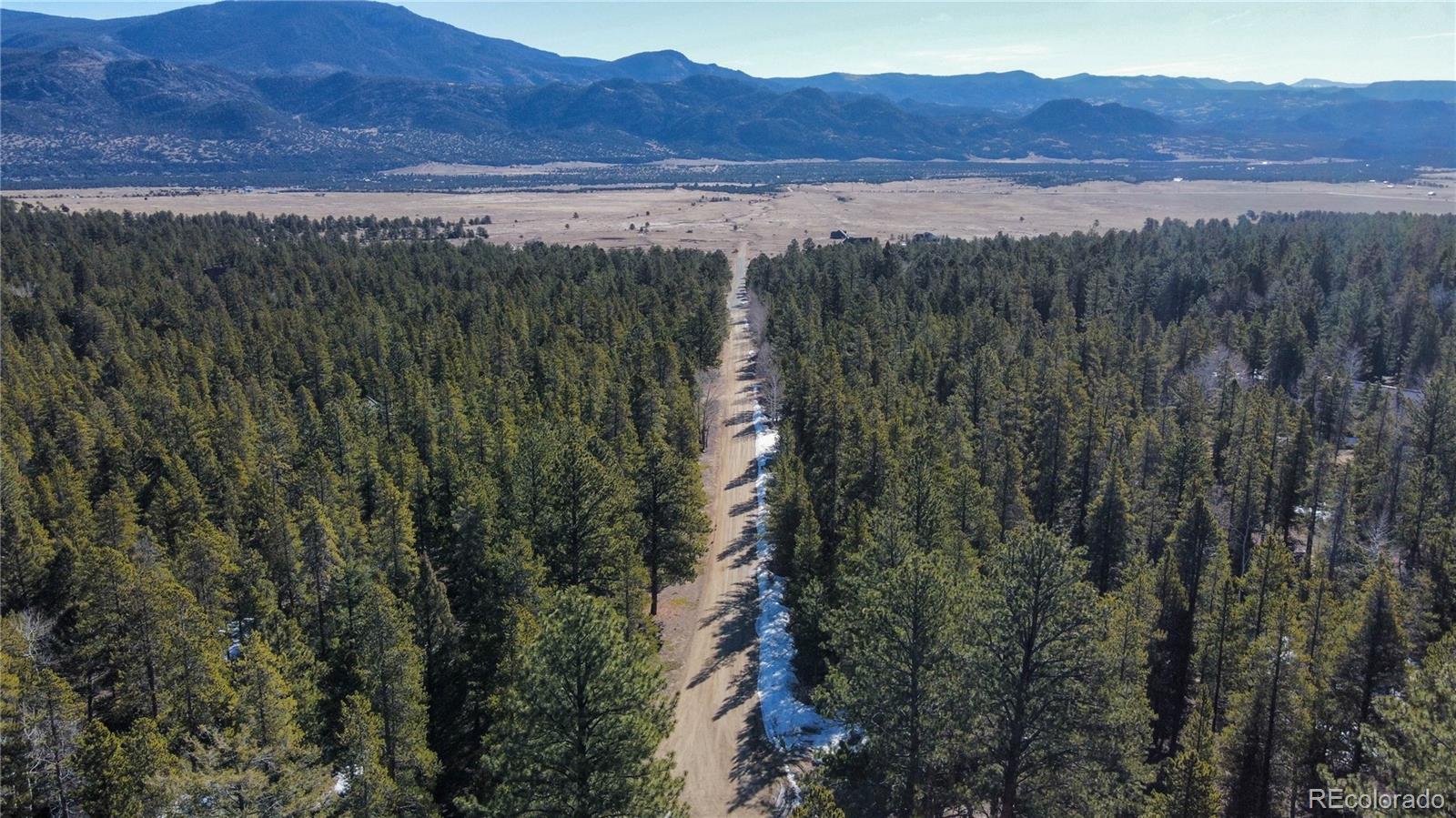 18961 Wagon Trail Buena Vista CO 81211