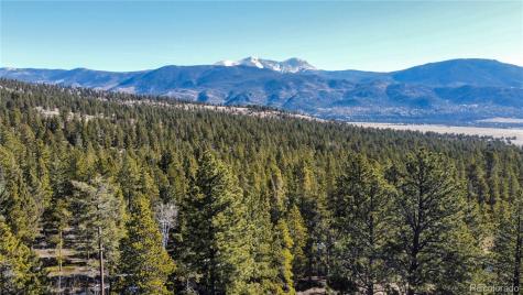 18961 Wagon Trail Buena Vista CO 81211
