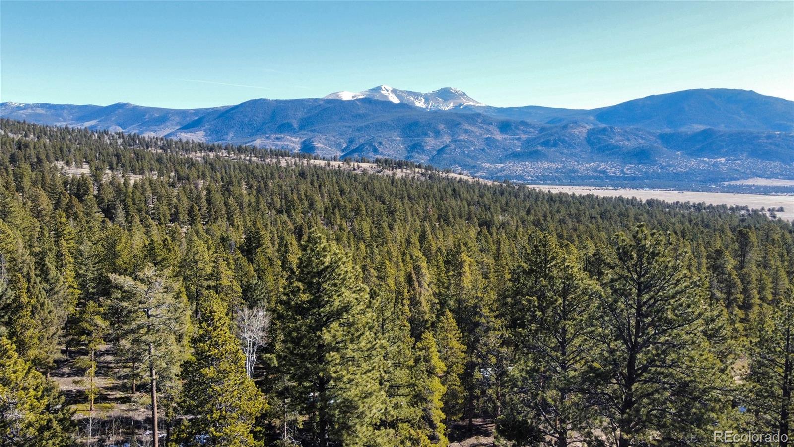 18961 Wagon Trail Buena Vista CO 81211