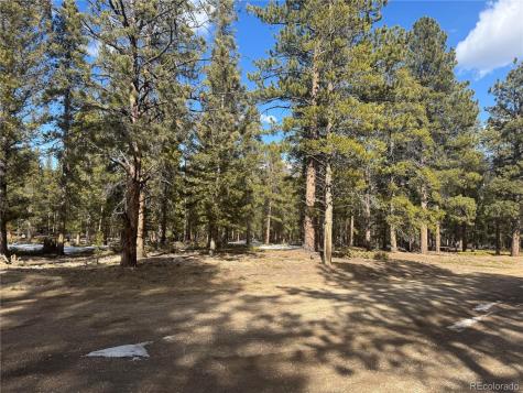 18961 Wagon Trail Buena Vista CO 81211