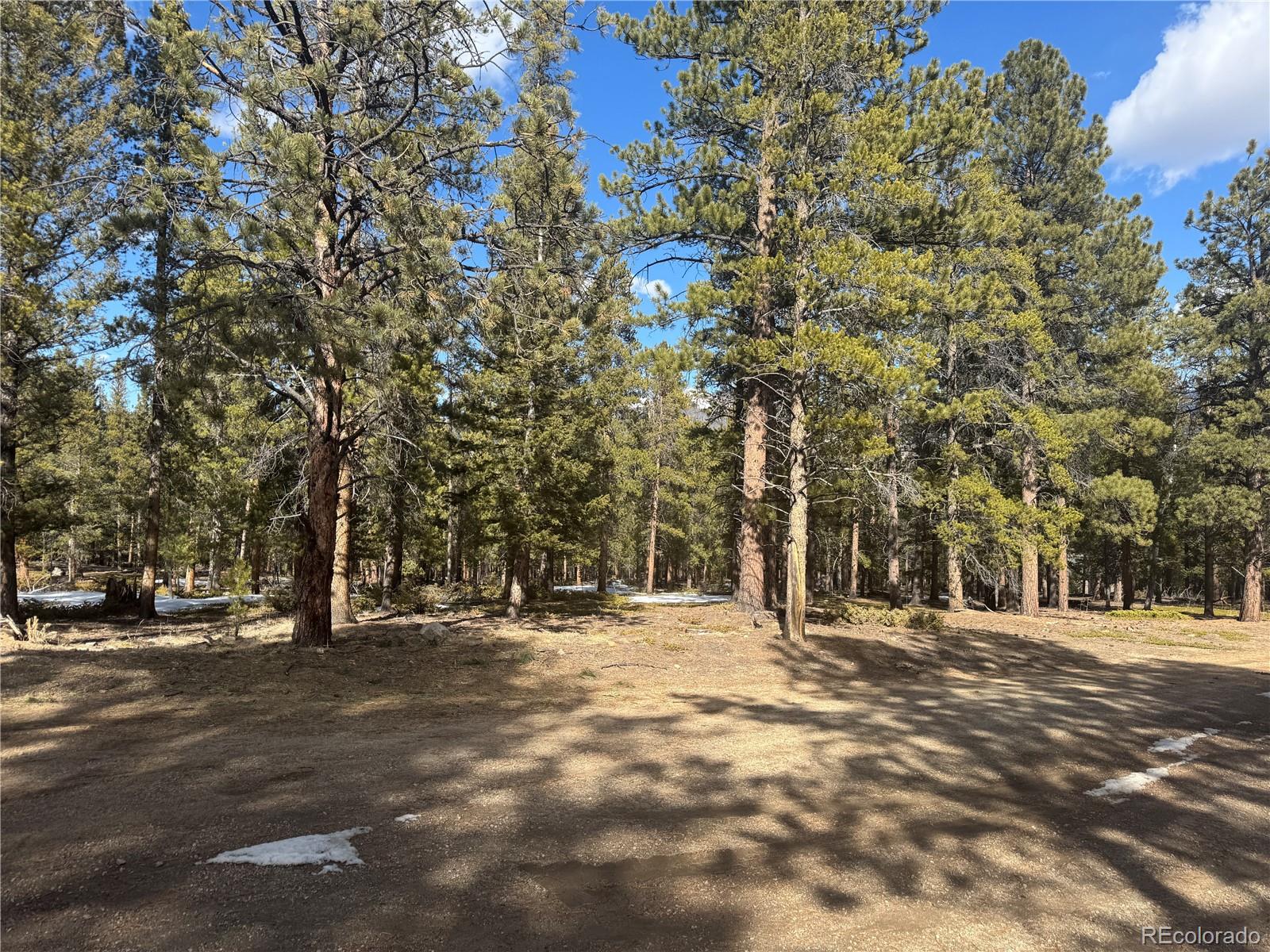18961 Wagon Trail Buena Vista CO 81211