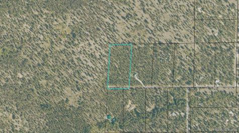 18961 Wagon Trail Buena Vista CO 81211
