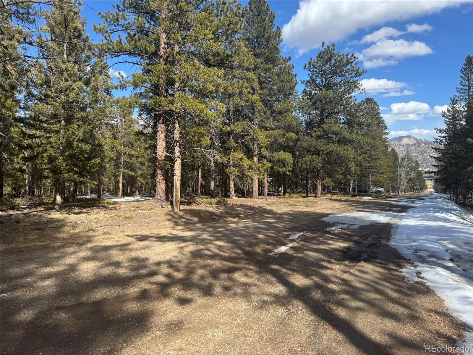 18961 Wagon Trail Buena Vista CO 81211